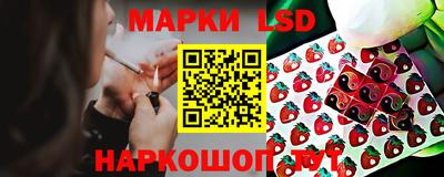 сатива Будённовск