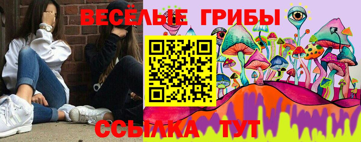 Галлюциногенные грибы Cubensis Бутурлиновка