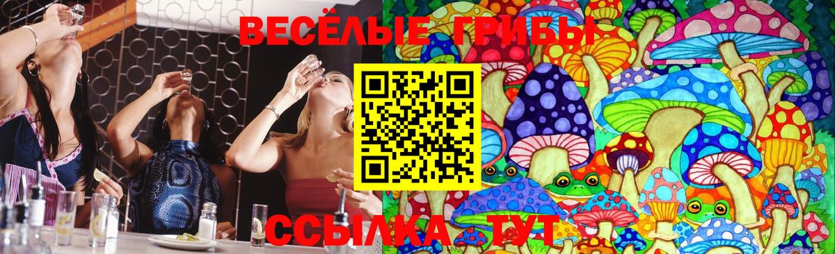 Галлюциногенные грибы мицелий  Вход с VPN  Псилоцибиновые грибы ЛСД  Бутурлиновка 